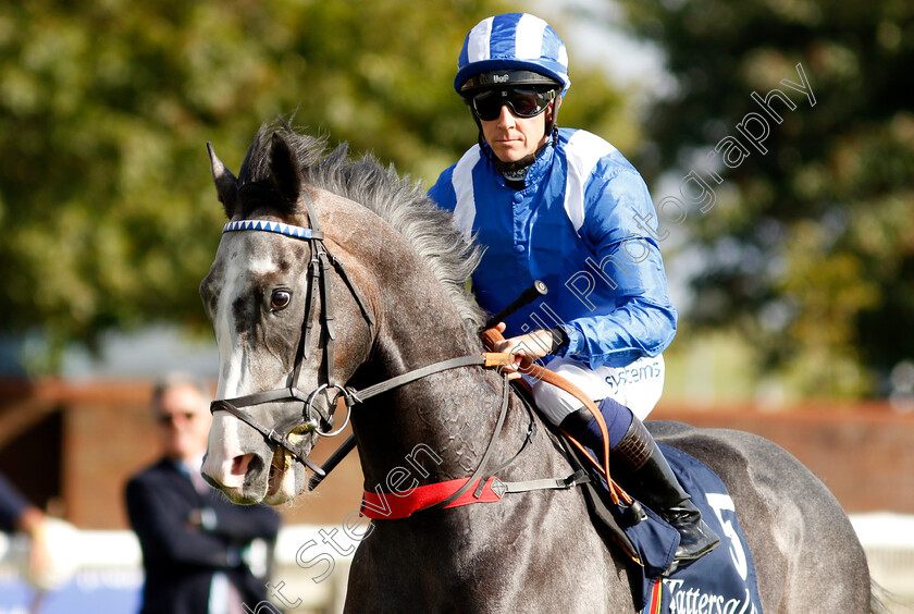 Ribhi-0002 
 RIBHI (Jim Crowley)
Newmarket 23 Sep 2021 - Pic Steven Cargill / Racingfotos.com