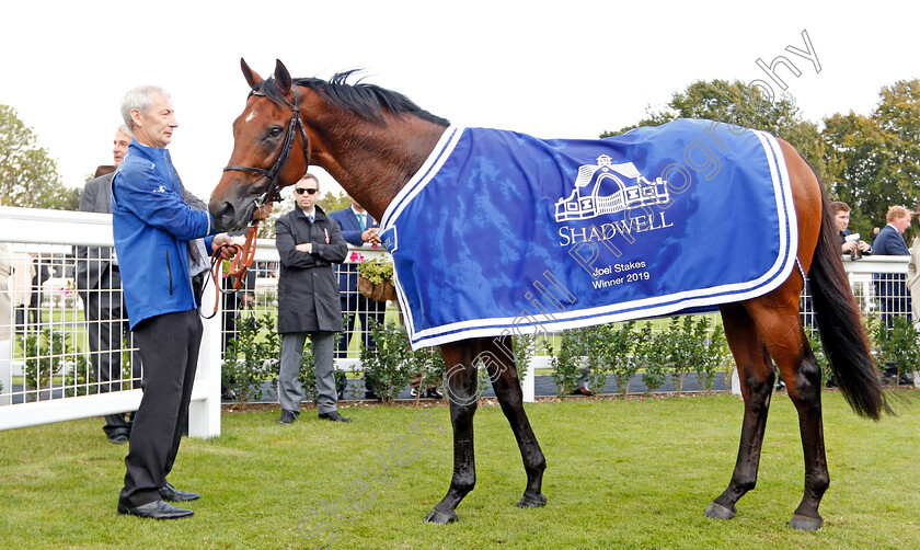 Benbatl-0008 
 BENBATL after The Shadwell Joel Stakes
Newmarket 27 Sep 2019 - Pic Steven Cargill / Racingfotos.com