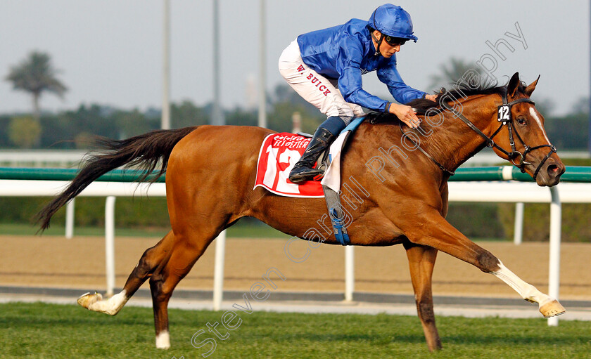 Barney-Roy-0009 
 BARNEY ROY (William Buick) wins The Jebel Hatta
Meydan 7 Mar 2020 - Pic Steven Cargill / Racingfotos.com