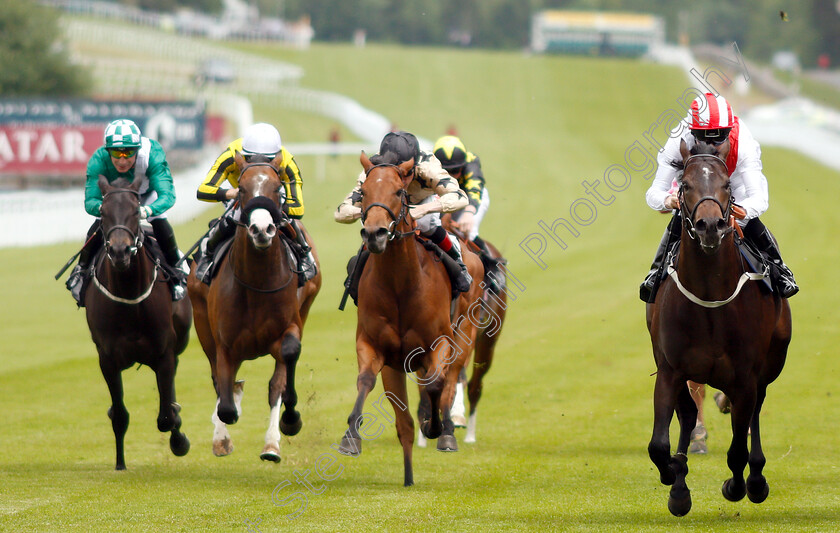 Dream-Shot-0003 
 DREAM SHOT (right, Jamie Spencer) wins The Thames Materials Muck Away EBF Novice Auction Stakes
Goodwood 24 May 2019 - Pic Steven Cargill / Racingfotos.com