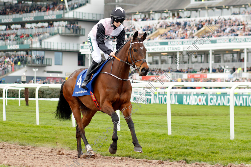 Heart-Wood-0001 
 HEART WOOD (Rachael Blackmore) 
Aintree 12 Apr 2024 - Pic Steven Cargill / Racingfotos.com