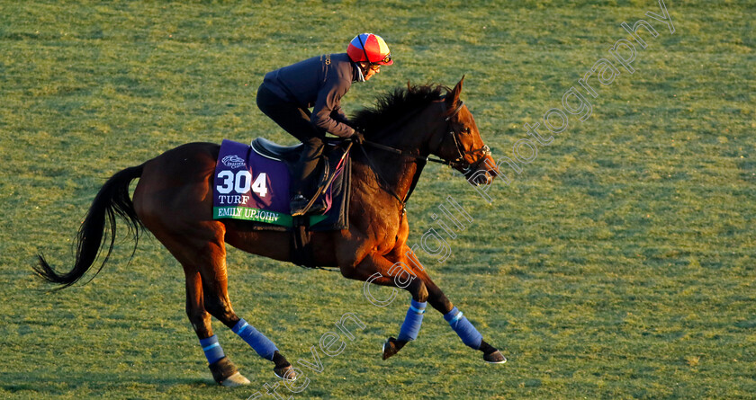 Emily-Upjohn-0001 
 EMILY UPJOHN (Frankie Dettori) training for the Breeders' Cup Turf
Del Mar USA 30 Oct 2024 - Pic Steven Cargill / Racingfotos.com