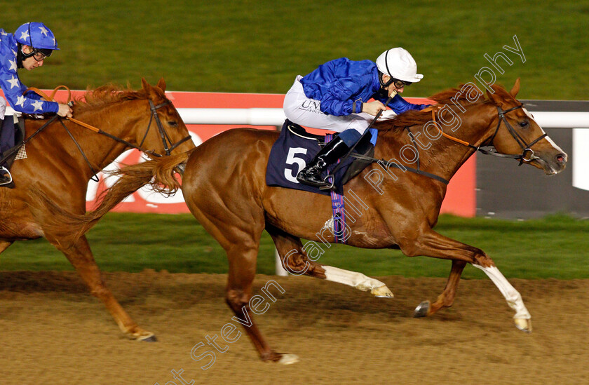 Untold-Story-0005 
 UNTOLD STORY (Callum Shepherd) wins The Betway Novice Stakes
Wolverhampton 5 Dec 2020 - Pic Steven Cargill / Racingfotos.com