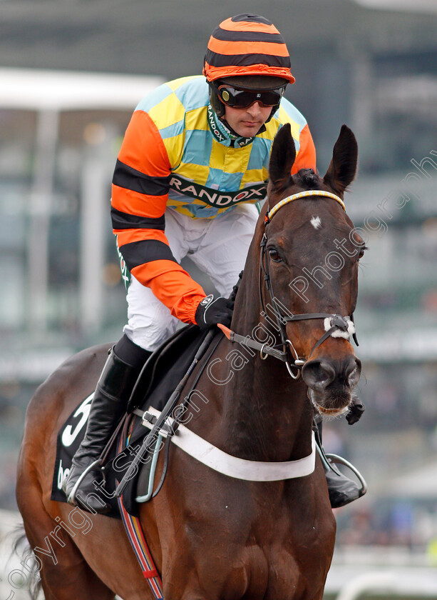 Might-Bite-0003 
 MIGHT BITE (Nico de Boinville) before winning The Betway Bowl Chase Aintree 12 Apr 2018 - Pic Steven Cargill / Racingfotos.com