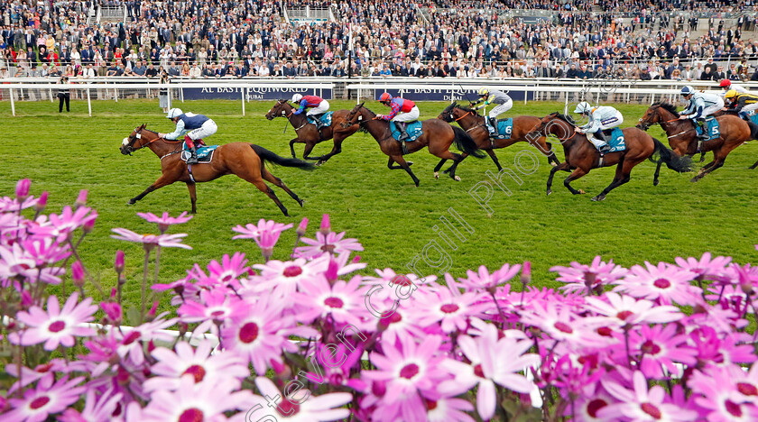 Regional-0001 
 REGIONAL (Callum Rodriguez) wins The Lindum York Handicap
York 18 May 2023 - Pic Steven Cargill / Racingfotos.com