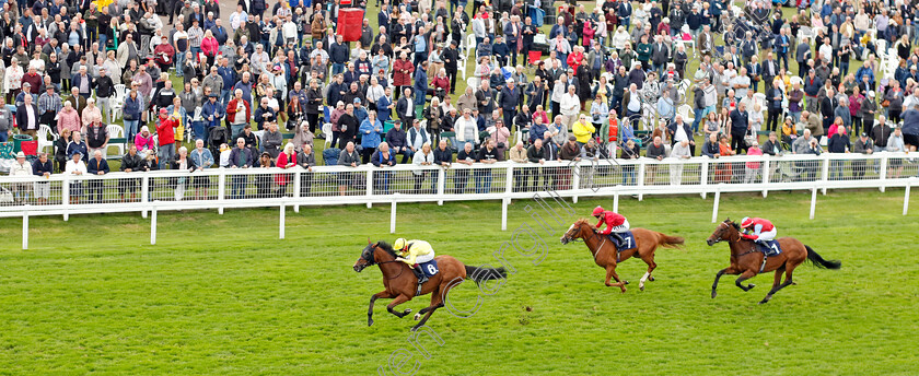 Tajanis-0005 
 TAJANIS (Cieren Fallon) wins The Moulton Nurseries Handicap
Yarmouth 21 Sep 2023 - Pic Steven Cargill / Racingfotos.com