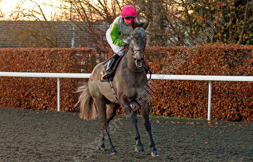 Bird-Of-Wonder-0001 
 BIRD OF WONDER (Emma Taff)
Kempton 4 Dec 2019 - Pic Steven Cargill / Racingfotos.com