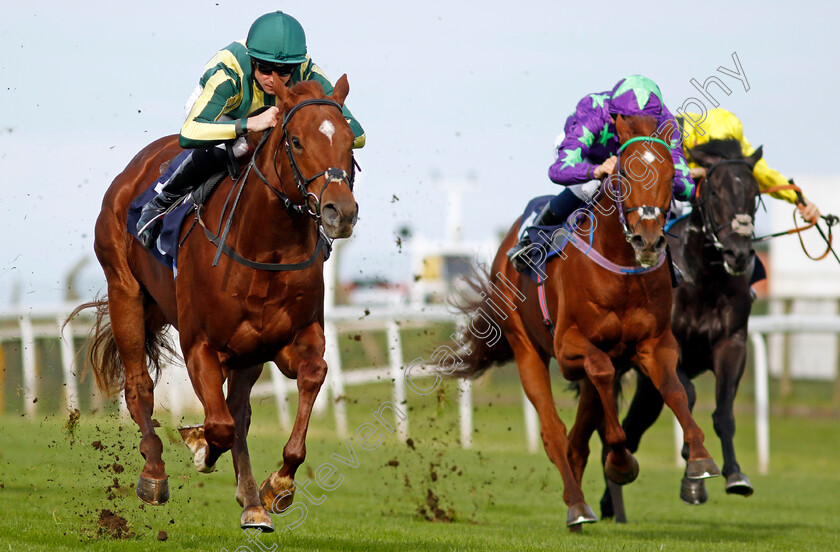 Telemark-0003 
 TELEMARK (Jack Mitchell) wins The British Stallion Studs EBF Novice Stakes
Yarmouth 16 Oct 2023 - Pic Steven Cargill / Racingfotos.com