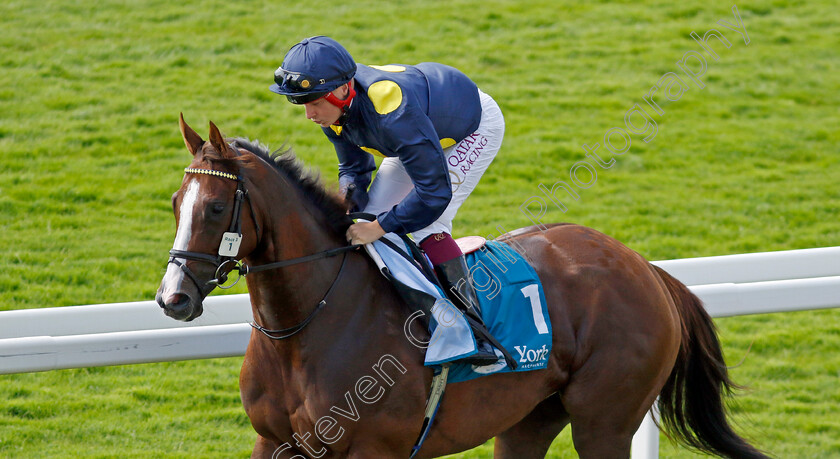 Pink-Crystal-0001 
 PINK CRYSTAL (Cieren Fallon)
York 16 Jun 2023 - Pic Steven Cargill / Racingfotos.com