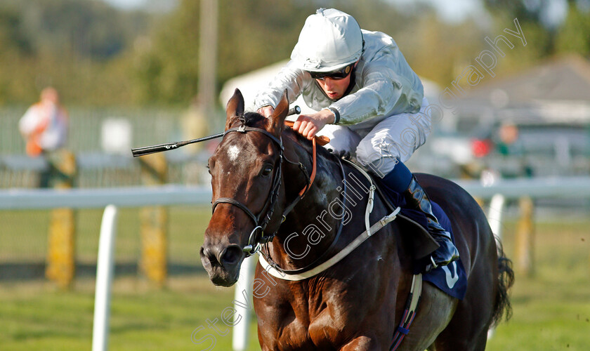 Forest-Falcon-0007 
 FOREST FALCON (William Buick) wins The British Stallion Studs EBF Novice Stakes
Yarmouth 17 Sep 2020 - Pic Steven Cargill / Racingfotos.com