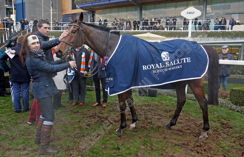 Un-De-Sceaux-0012 
 UN DE SCEAUX after The Royal Salute Whisky Clarence House Chase Ascot 20 Jan 2018 - Pic Steven Cargill / Racingfotos.com