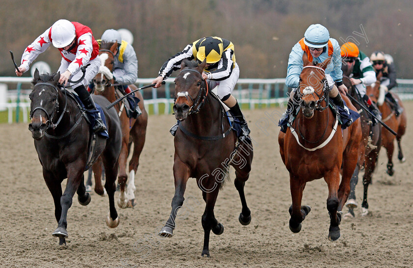 Soldier-On-Parade-0002 
 SOLDIER ON PARADE (centre, Gabriele Malune) beats JEN'S FELLA (right) and IVAQUESTION (left) in The Betway Casino Handicap
Lingfield 19 Feb 2021 - Pic Steven Cargill / Racingfotos.com