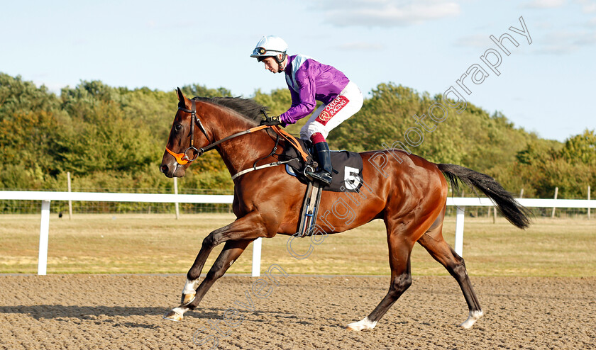 Rocket-Dancer-0001 
 ROCKET DANCER (Oisin Murphy)
Chelmsford 4 Sep 2019 - Pic Steven Cargill / Racingfotos.com