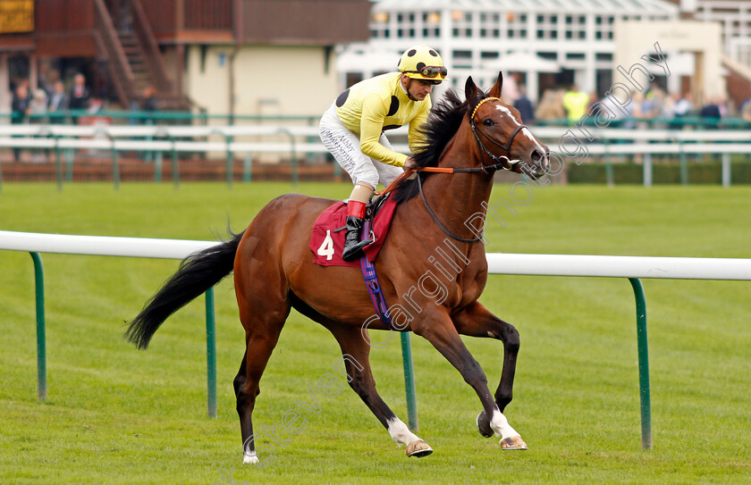 Triple-Time-0001 
 TRIPLE TIME (Andrea Atzeni) winner of The Betfair Exchange Ascendant Stakes
Haydock 4 Sep 2021 - Pic Steven Cargill / Racingfotos.com