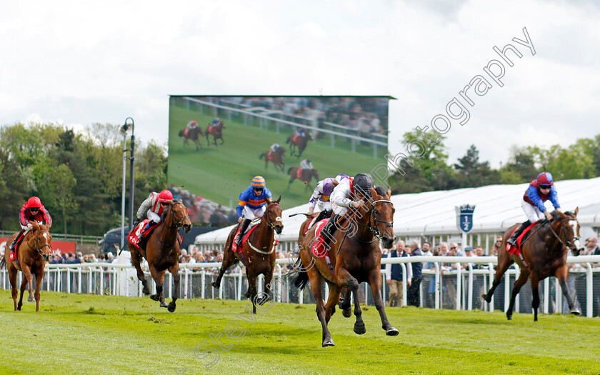 Hamish-0007 
 HAMISH (Tom Marquand) wins The tote.co.uk Ormonde Stakes
Chester 11 May 2023 - Pic Steven Cargill / Racingfotos.com