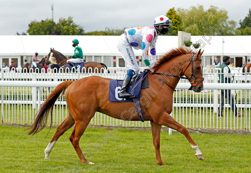 King-Crimson-0001 
 KING CRIMSON (Darragh Keenan)
Bath 18 Jul 2020 - Pic Steven Cargill / Racingfotos.com