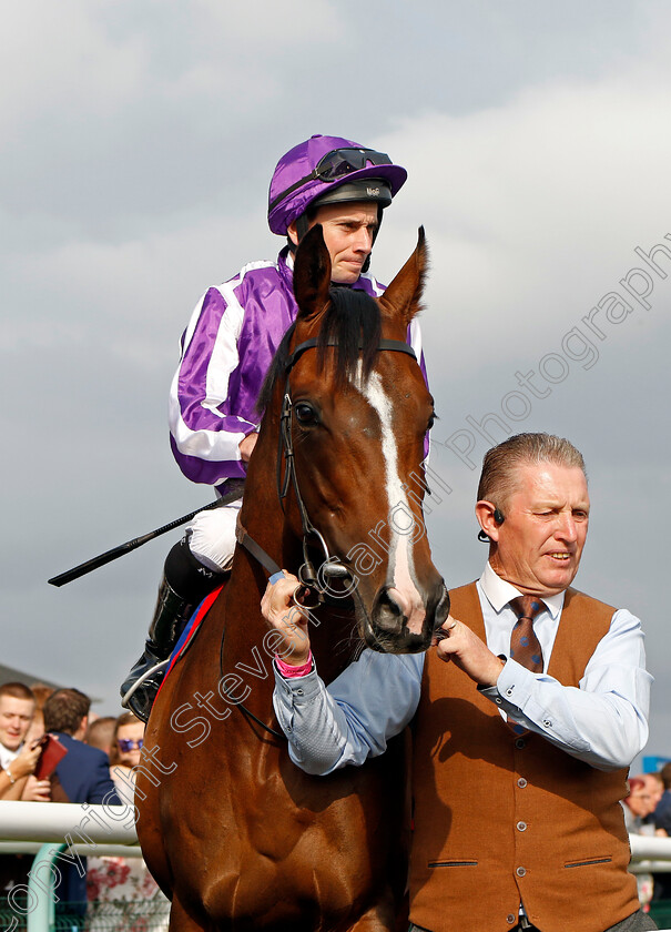 Continuous-0014 
 CONTINUOUS (Ryan Moore) winner of The Betfred St Leger Stakes
Doncaster 16 Sep 2023 - Pic Steven Cargill / Racingfotos.com