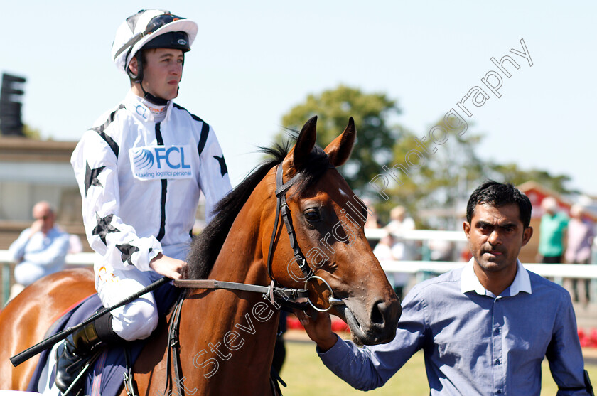 Aleeka-0001 
 ALEEKA (Shane Gray)
Doncaster 29 Jun 2018 - Pic Steven Cargill / Racingfotos.com