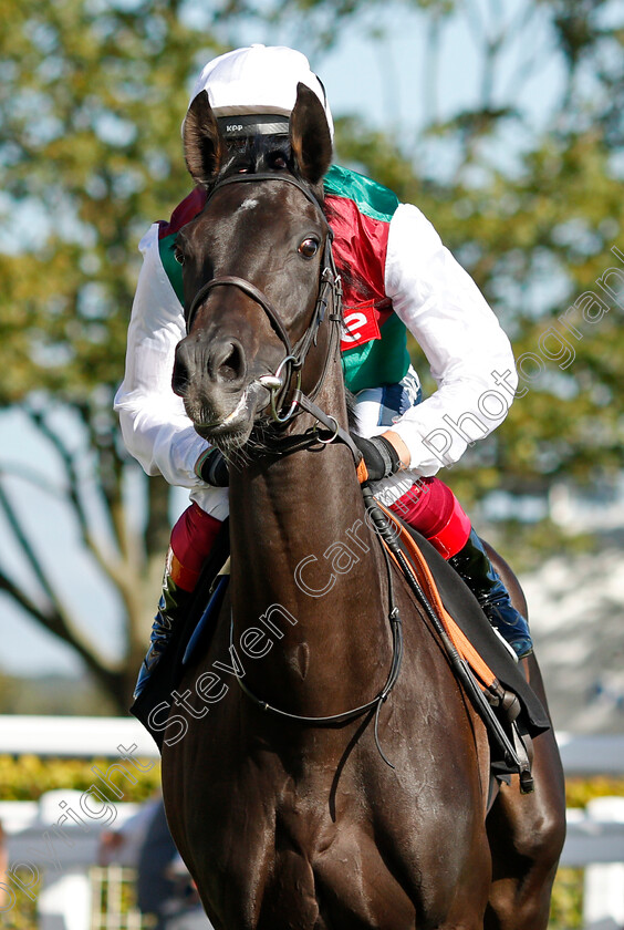 Girl-On-Film-0002 
 GIRL ON FILM (Frankie Dettori)
Newmarket 24 Sep 2021 - Pic Steven Cargill / Racingfotos.com