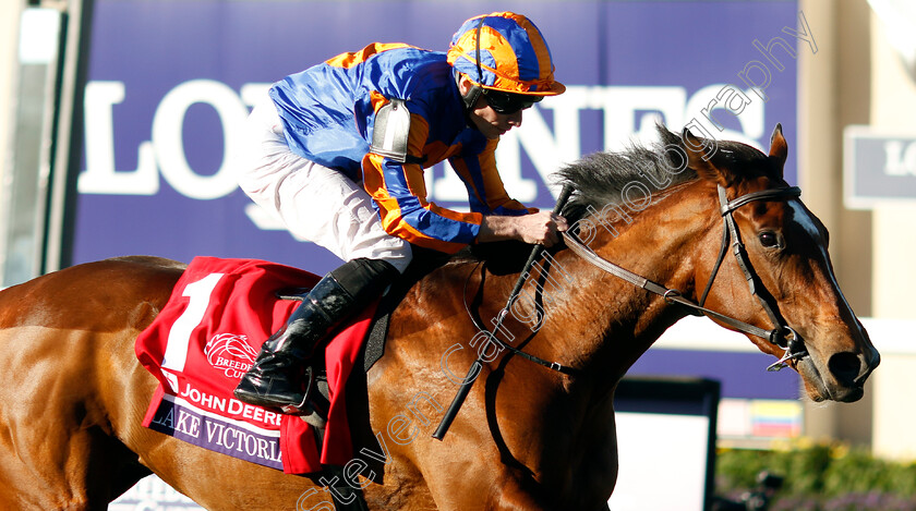 Lake-Victoria-0006 
 LAKE VICTORIA (Ryan Moore) wins the Breeders' Cup Juvenile Fillies Turf
Del Mar USA 1 Nov 2024 - Pic Steven Cargill / Racingfotos.com