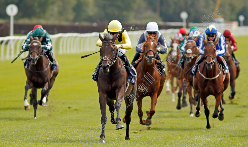 Myseven-0004 
 MYSEVEN (Pat Cosgrave) wins The Betway Novice Stakes
Lingfield 2 Sep 2020 - Pic Steven Cargill / Racingfotos.com