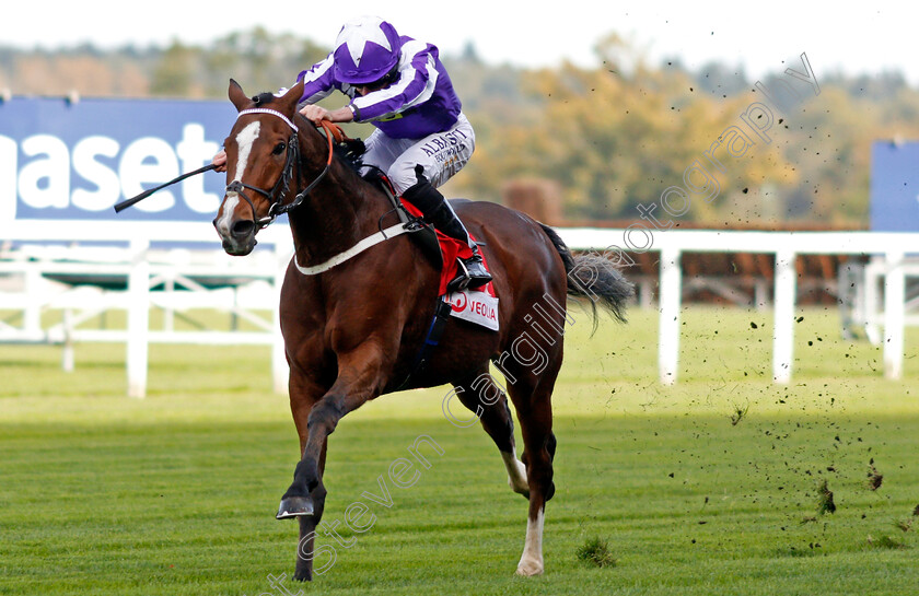 Shady-McCoy-0002 
 SHADY MCCOY (Ryan Moore) wins The Veolia Handicap Ascot 6 Oct 2017 - Pic Steven Cargill / Racingfotos.com