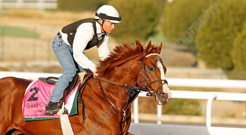 Elite-Power-0004 
 ELITE POWER training for The Riyadh Turf Sprint
King Abdulaziz Racecourse, Kingdom Of Saudi Arabia, 23 Feb 2023 - Pic Steven Cargill / Racingfotos.com