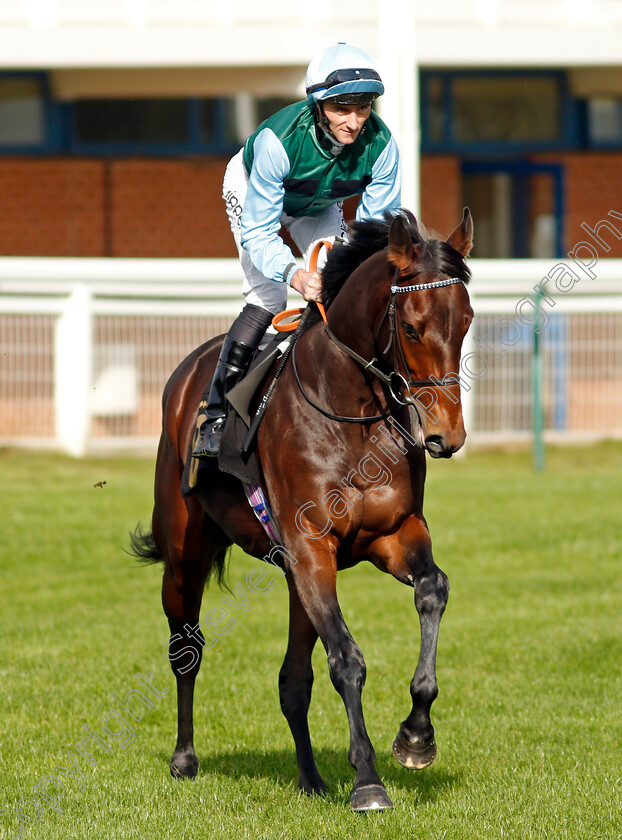 Wilkins-0002 
 WILKINS (Daniel Tudhope)
Nottingham 13 Oct 2021 - Pic Steven Cargill / Racingfotos.com