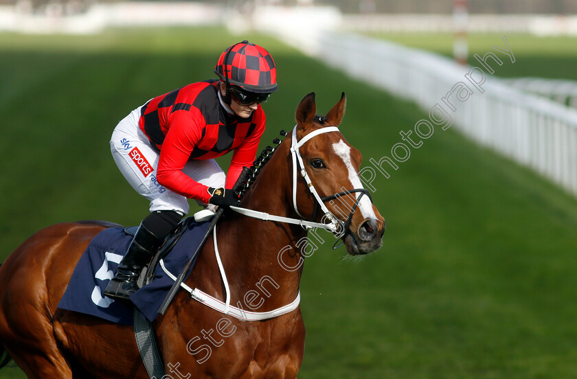 First-Officer-0001 
 FIRST OFFICER (Hollie Doyle)
Doncaster 2 Apr 2023 - Pic Steven Cargill / Racingfotos.com