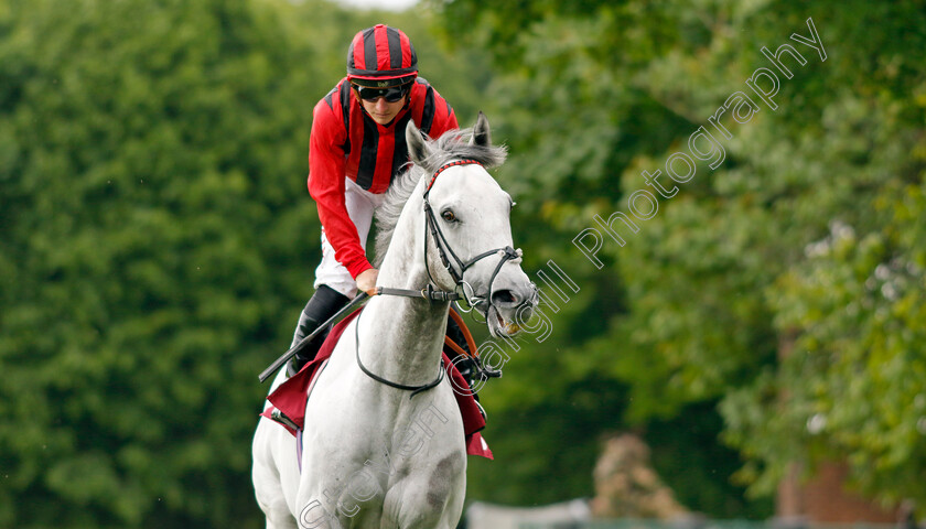 Came-From-The-Dark-0002 
 CAME FROM THE DARK (Tom Marquand)
Haydock 21 May 2022 - Pic Steven Cargill / Racingfotos.com