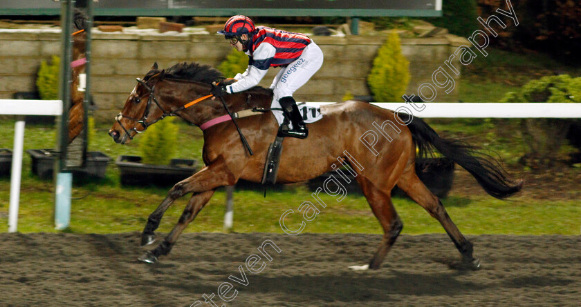 Mr-Zee-0004 
 MR ZEE (Marco Ghiani) wins The Follow @racingtv On Twitter Classified Stakes
Kempton 13 Jan 2021 - Pic Steven Cargill / Racingfotos.com