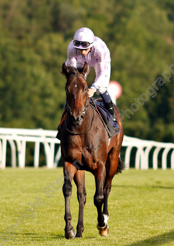 Fleeting-Prince-0001 
 FLEETING PRINCE (Kieran Shoemark)
Chepstow 2 Jul 2019 - Pic Steven Cargill / Racingfotos.com