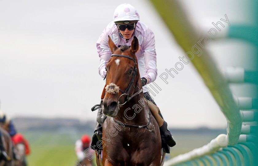 Anzac-Day-0005 
 ANZAC DAY (James Doyle) wins The Visit racingtv.com Maiden Stakes
Newmarket 25 Oct 2023 - Pic Steven Cargill / Racingfotos.com