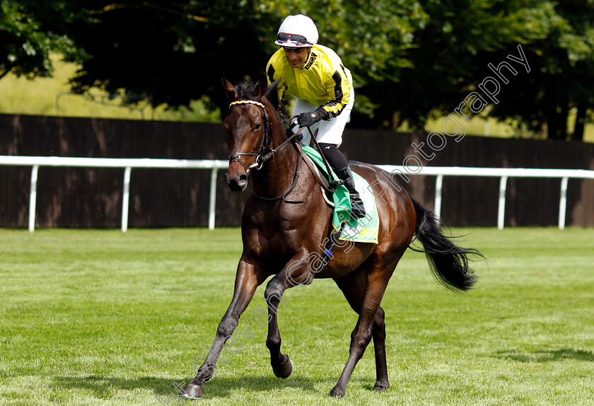 Wimbledon-Hawkeye-0001 
 WIMBLEDON HAWKEYE (Silvestre De Sousa)
Newmarket 13 Jul 2024 - Pic Steven Cargill / Racingfotos.com