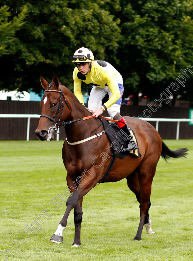 Miss-Bodacious-0001 
 MISS BODACIOUS (Clifford Lee)
Newmarket 13 Jul 2024 - Pic Steven Cargill / Racingfotos.com