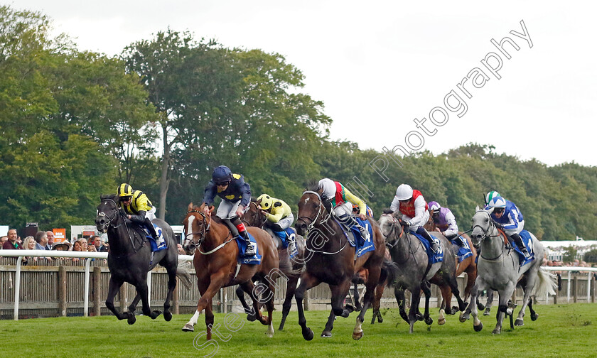 Mill-Stream-0005 
 MILL STREAM (centre, William Buick) beats SWINGALONG (2nd left) in The My Pension Expert July Cup
Newmarket 13 Jul 2024 - Pic Steven Cargill / Racingfotos.com