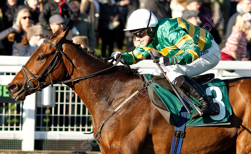 Palmers-Hill-0005 
 PALMERS HILL (Jonjo O'Neill Jr) wins The Steve And Sue Ibberson Retirement Conditional Jockeys Handicap Hurdle
Cheltenham 18 Nov 2018 - Pic Steven Cargill / Racingfotos.com