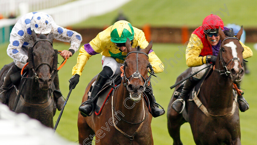 Champagne-Well-0004 
 CHAMPAGNE WELL (Paddy Brennan) wins The Ballymore Novices Hurdle
Cheltenham 25 Oct 2019 - Pic Steven Cargill / Racingfotos.com