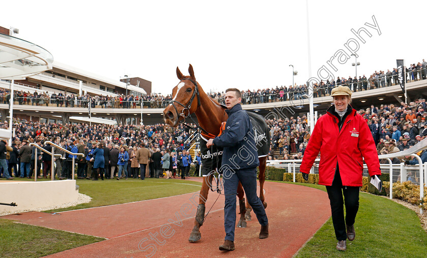 Samcro-0016 
 SAMCRO after The Ballymore Novices Hurdle Cheltenham 14 Mar 2018 - Pic Steven Cargill / Racingfotos.com