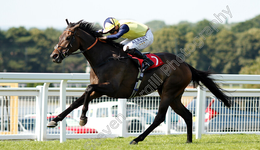 Saroog-0003 
 SAROOG (Ryan Moore) wins The Sequel Handicap
Sandown 6 Jul 2018 - Pic Steven Cargill / Racingfotos.com