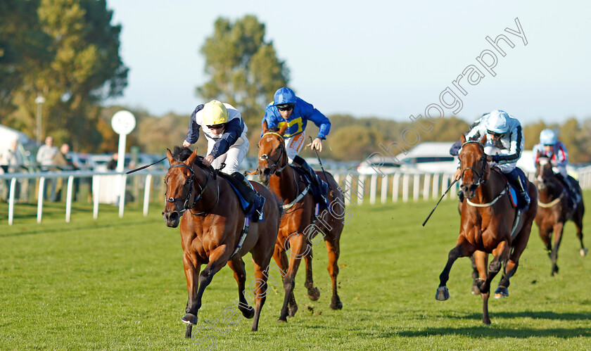 At-Liberty-0005 
 AT LIBERTY (Ryan Moore) wins The Cazoo Search Drive Smile Handicap
Yarmouth 18 Oct 2022 - Pic Steven Cargill / Racingfotos.com