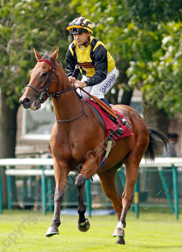 Zouky-0008 
 ZOUKY (Marco Ghiani) winner of The British EBF Fillies Novice Stakes
Haydock 2 Sep 2022 - Pic Steven Cargill / Racingfotos.com