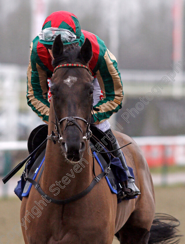 Celestial-Path-0001 
 CELESTIAL PATH (Luke Morris) Lingfield 14 Feb 2018 - Pic Steven Cargill / Racingfotos.com