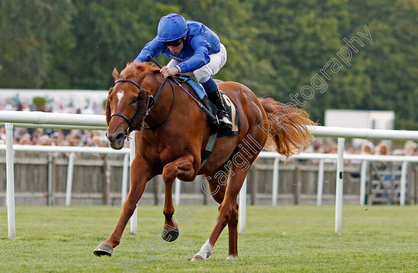 One-Nation-0007 
 ONE NATION (William Buick) wins The Join Racing TV Now Nursery
Newmarket 22 Jul 2022 - Pic Steven Cargill / Racingfotos.com