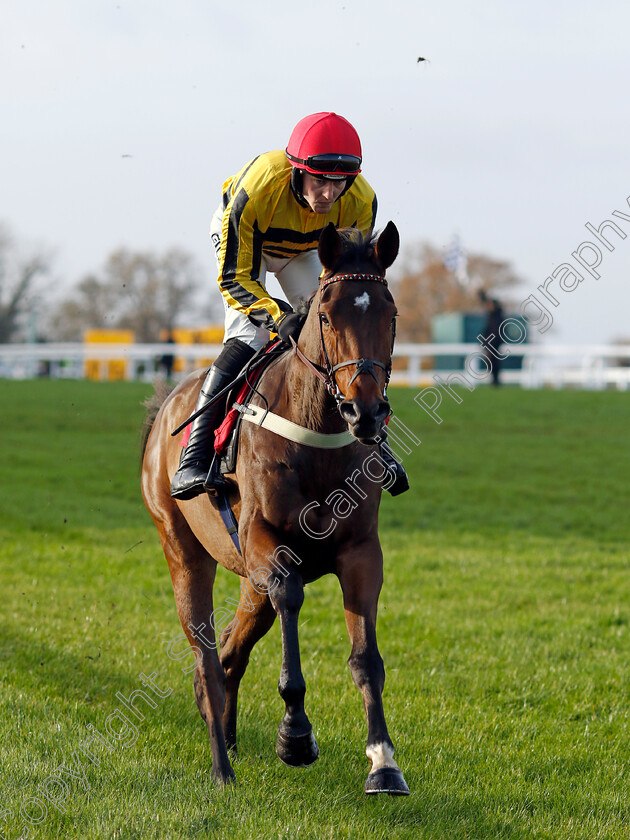 Castelfort-0007 
 CASTELFORT (David Noonan) winner of The betting.betfair.com Introductory Juvenile Hurdle
Sandown 8 Dec 2023 - pic Steven Cargill / Racingfotos.com