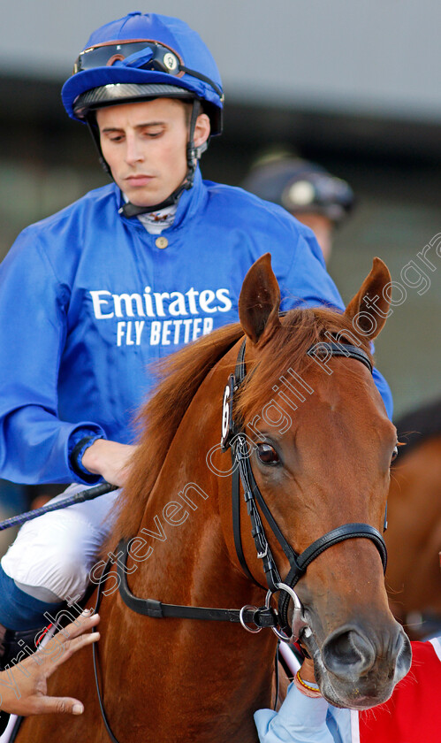 Space-Blues-0001 
 SPACE BLUES (William Buick)
Meydan 7 Mar 2020 - Pic Steven Cargill / Racingfotos.com