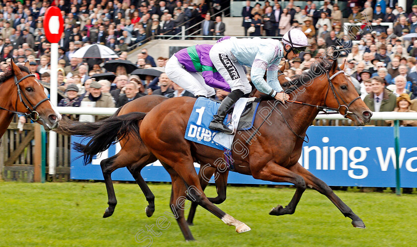 Tomfre-0004 
 TOMFRE (Harry Bentley) wins The Dubai Nursery
Newmarket 12 Oct 2019 - Pic Steven Cargill / Racingfotos.com