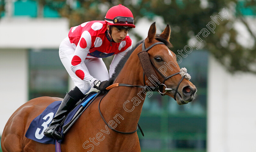 Wynter-Wildes-0006 
 WYNTER WILDES (Mikkel Mortensen) winner of The British EBF Premier Fillies Handicap
Yarmouth 20 Sep 2023 - Pic Steven Cargill / Racingfotos.com