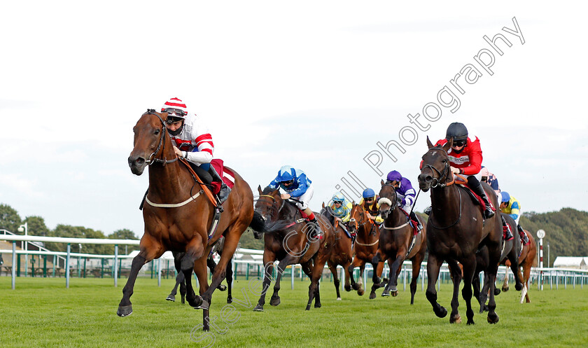 Young-Fire-0001 
 YOUNG FIRE (Shane Gray) wins The Betfair Exchange Setting Odds Racing TV Handicap
Haydock 4 Sep 2020 - Pic Steven Cargill / Racingfotos.com