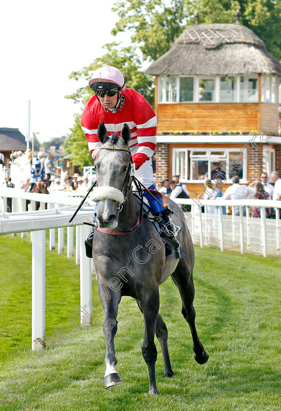 Mecca s-Duchess-0002 
 MECCA'S DUCHESS (Connor Beasley)
York 16 Jun 2023 - Pic Steven Cargill / Racingfotos.com